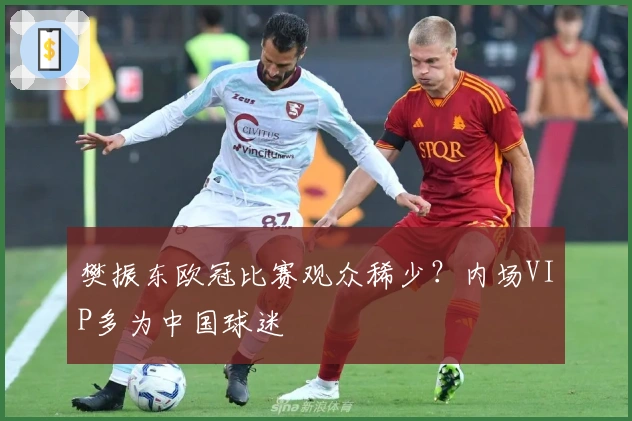 樊振东欧冠比赛观众稀少？内场VIP多为中国球迷