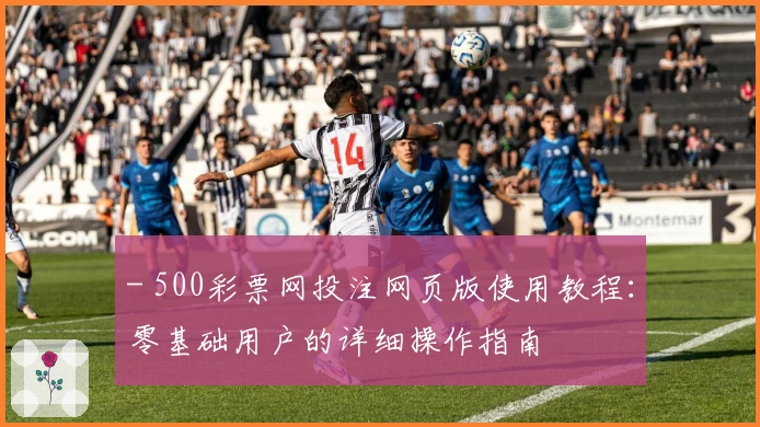 - 500彩票网投注网页版使用教程：零基础用户的详细操作指南