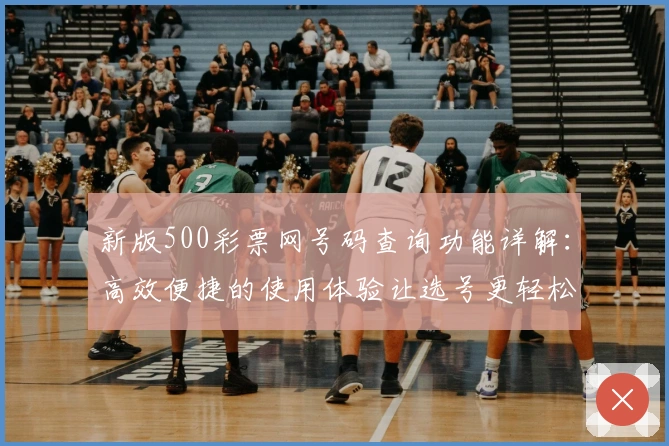 新版500彩票网号码查询功能详解：高效便捷的使用体验让选号更轻松