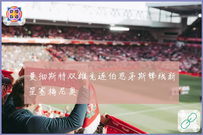 曼彻斯特双雄竞逐伯恩茅斯锋线新星塞梅尼奥